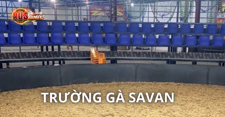 Giới thiệu đôi nét về trường gà Savan lừng danh